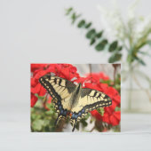 Anise Swallowtail Briefkaart (Staand voorkant)