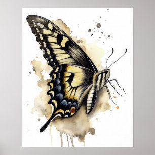 Anise Swallowtail Butterfly Art Print Poster