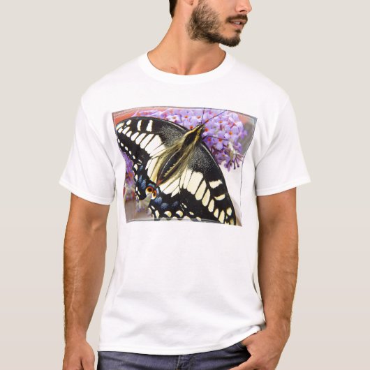 Anise swallowtail butterfly - Mannen t-shirt (Voorkant)