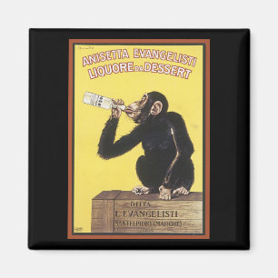 Anisetta Evangelisti Liquor Ad Magnet