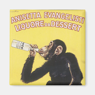 Anisetta Evangelisti Magneet