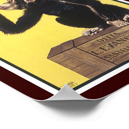 Anisetta Evangelisti Poster (Hoek)