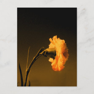 anjer 2 briefkaart