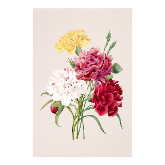  anjer bloemen print foto afdruk (Voorkant)