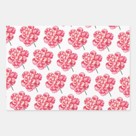 Anjer Bloemen Waterverf Elegant Moederdag Inpakpapier Vel (Voorkant)