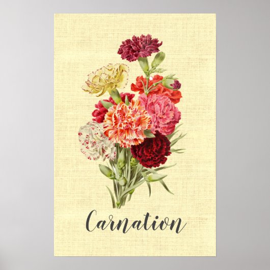   anjer Bouquet Poster (Voorkant)