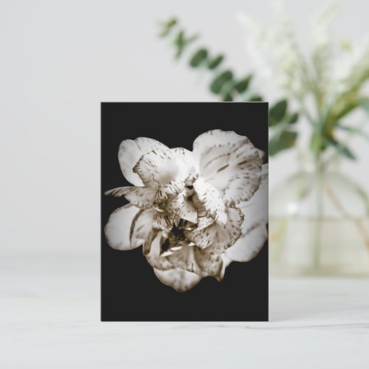 anjer briefkaart (Staand voorkant)