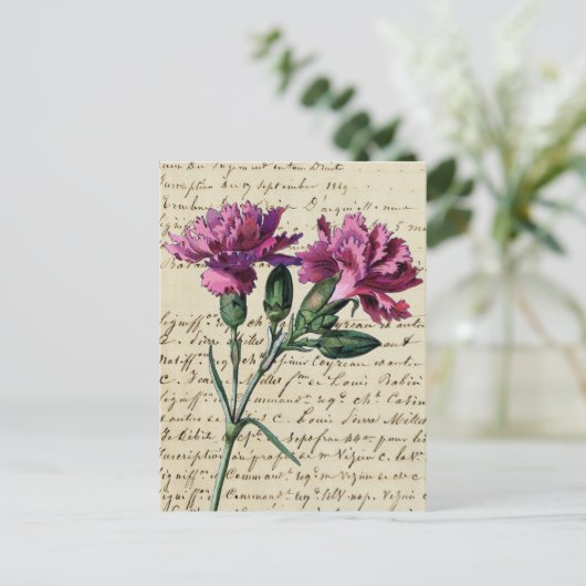  anjer briefkaart (Staand voorkant)