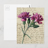  anjer briefkaart (Voorkant / Achterkant)