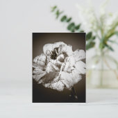 anjer briefkaart (Staand voorkant)