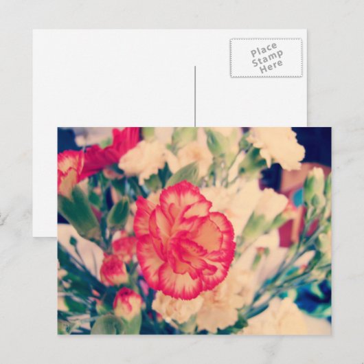 Anjer, briefkaart (Voorkant / Achterkant)