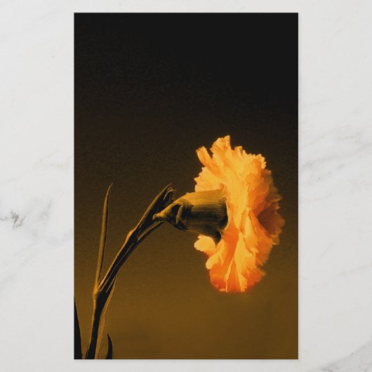 Anjer Briefpapier (Voorkant)