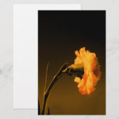 Anjer Briefpapier (Voorkant / Achterkant)