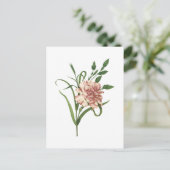 anjer (Dianthus caryophyllus) van Redouté Briefkaart (Staand voorkant)