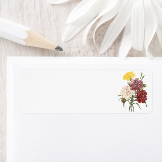 anjer (Dianthus sp.) van Redouté Etiket (Insitu)