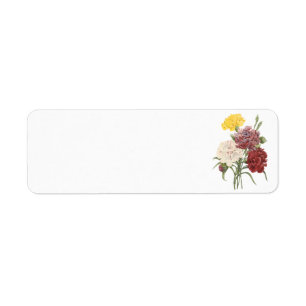 anjer (Dianthus sp.) van Redouté Etiket