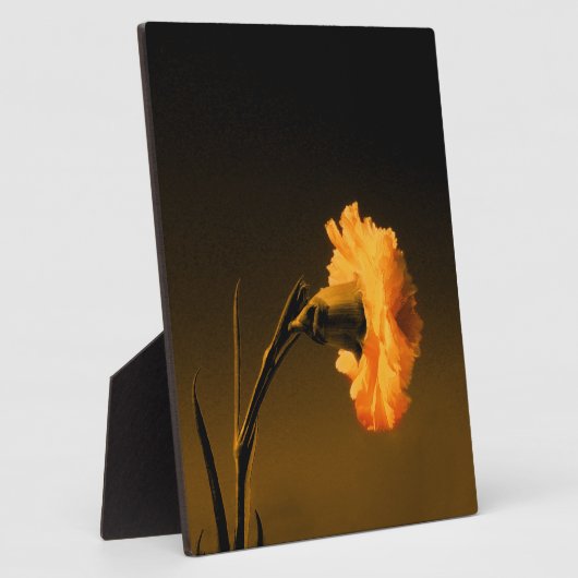 anjer fotoplaat (Zijkant)