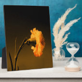 anjer fotoplaat (Zijkant)