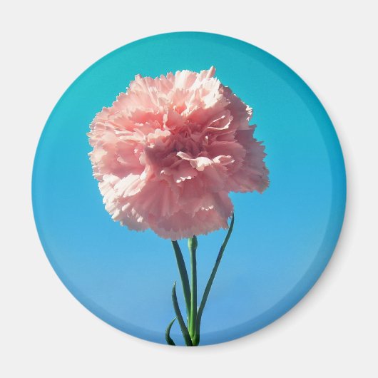 anjer magneet (Voorkant)