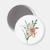 anjer magneet (Voorkant / Achterkant)