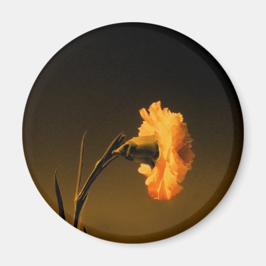 anjer magneet (Voorkant)