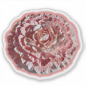 Anjer Sticker (Voorkant)