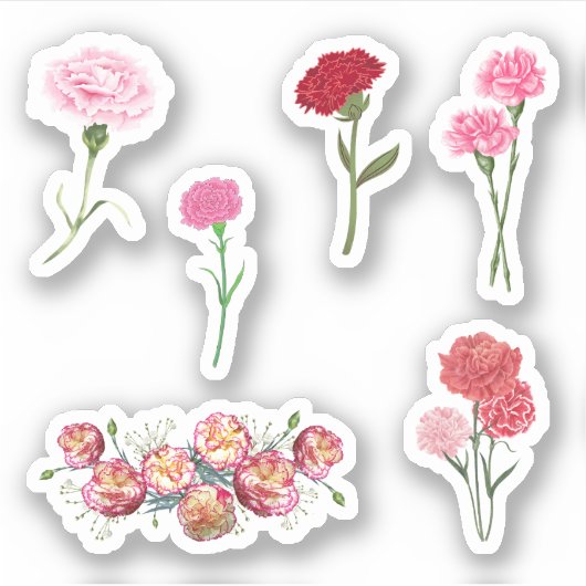 Anjer Stickers (Voorkant)