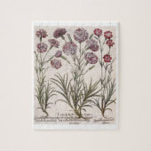 anjers: 1.Caryophyllus flore majore; 2. Caryop Legpuzzel (Verticaal)