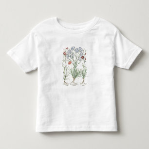 anjers: 1.Caryophyllus multiplex flore albo; 2 Kinder Shirts