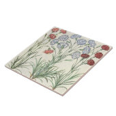 anjers: 1.Caryophyllus multiplex flore albo; 2 Tegeltje (Zijkant)