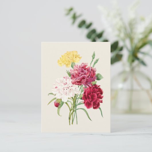  Anjers Botanische Illustratie Briefkaart (Staand voorkant)