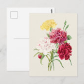  Anjers Botanische Illustratie Briefkaart (Voorkant / Achterkant)