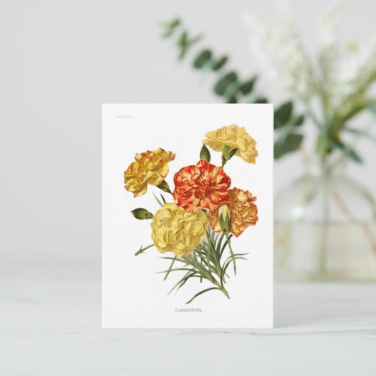 anjers briefkaart (Staand voorkant)