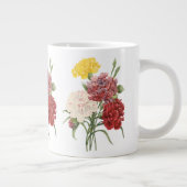  anjers Dianthus Garden Flowers Redoute Grote Koffiekop (Rechts)