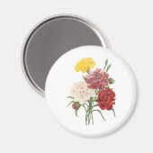  anjers Dianthus Garden Flowers Redoute Magneet (Voorkant / Achterkant)