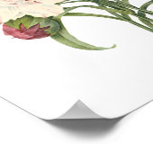  anjers Dianthus Garden Flowers Redoute Poster (Hoek)