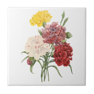 anjers Dianthus Garden Flowers Redoute Tegeltje