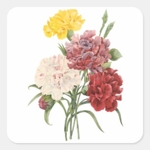 anjers Dianthus Garden Flowers Redoute Vierkante Sticker