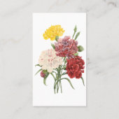 anjers Dianthus Garden Flowers Redoute Visitekaartje (Achterkant)