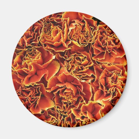 anjers magneet (Voorkant)