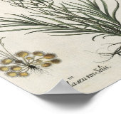 anjers poster (Hoek)