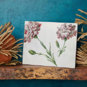 anjers (w/c op papier) fotoplaat (Zijkant)