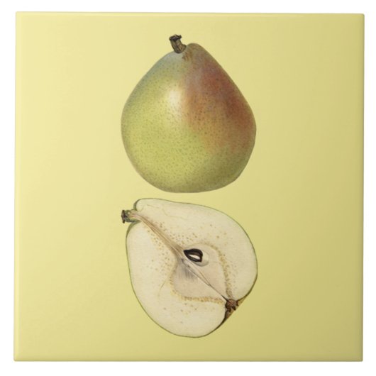 Anjou Pear Botanische Tegel ~ Keuken ~ Alle kleure Tegeltje (Voorkant)