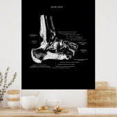 Ankle Anatomie Orthopedic Wall Decor Poster (Keuken)