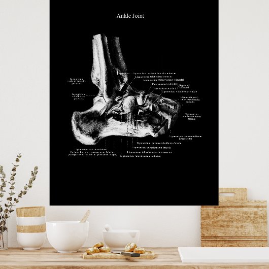 Ankle Anatomie Orthopedic Wall Decor Poster (Keuken)