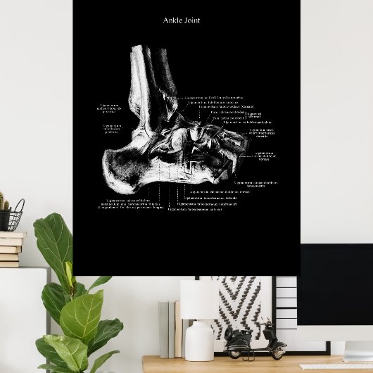 Ankle Anatomie Orthopedic Wall Decor Poster (Thuiskantoor)