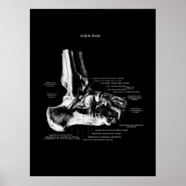 Ankle Anatomie Orthopedic Wall Decor Poster