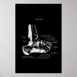 Ankle Joint Anatomy Orthopedic Decor Poster