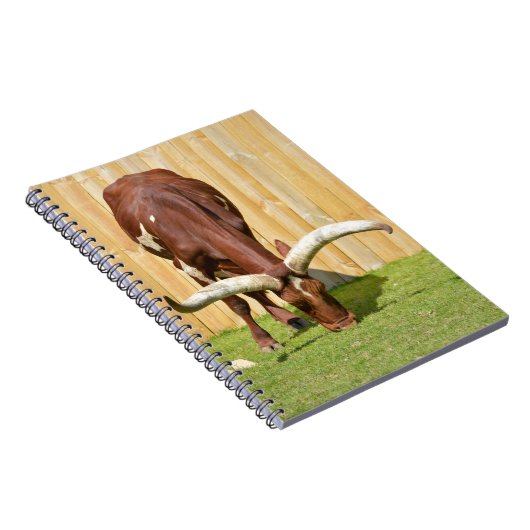 Ankole-Watusi graast Notitieboek (Rechterzijde)