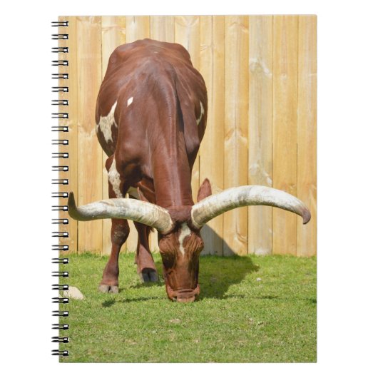 Ankole-Watusi graast Notitieboek (Voorkant)